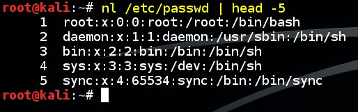 basic-linux-commands-nl